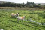 PICTURES/Everything That Did Not Fit Anywhere Else/t_DSC00236.JPG